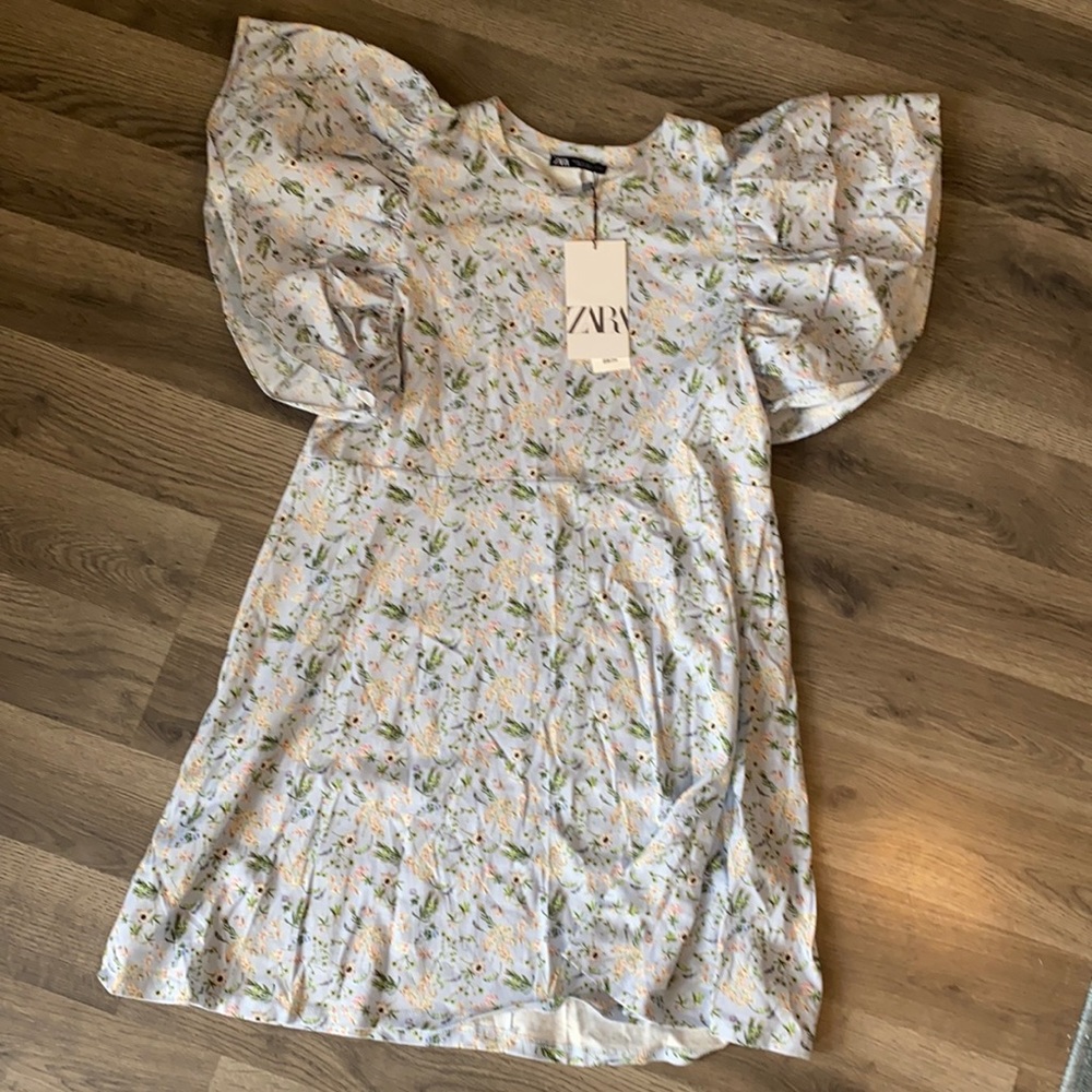 Ruffle sleeve zara dress